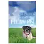 Biblical Proof Animals Do Go To Heaven Sklep on-line