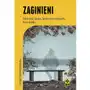 Zaginieni. Historie ludzi którzy przepadli bez śladu Sklep on-line