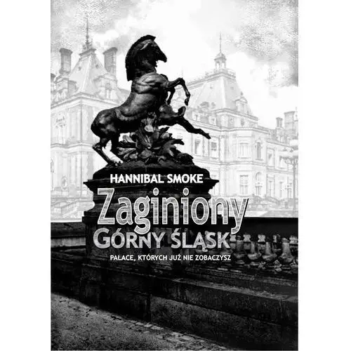 Zaginiony Górny Śląsk (E-book)