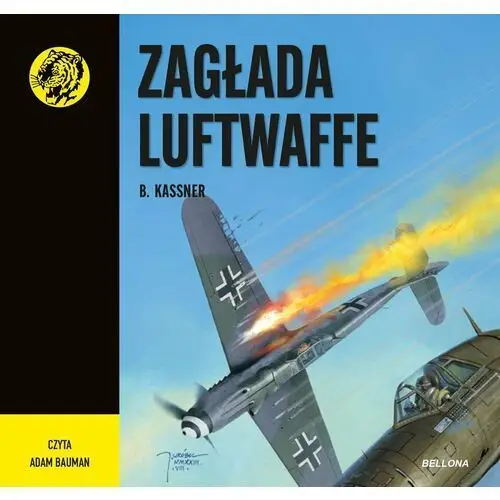 Zagłada Luftwaffe