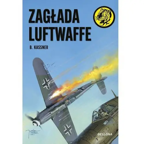 Zagłada Luftwaffe