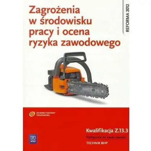 Zagroż. W Środ. Pracy I Ocena Ryzyka Kwal. Z.13