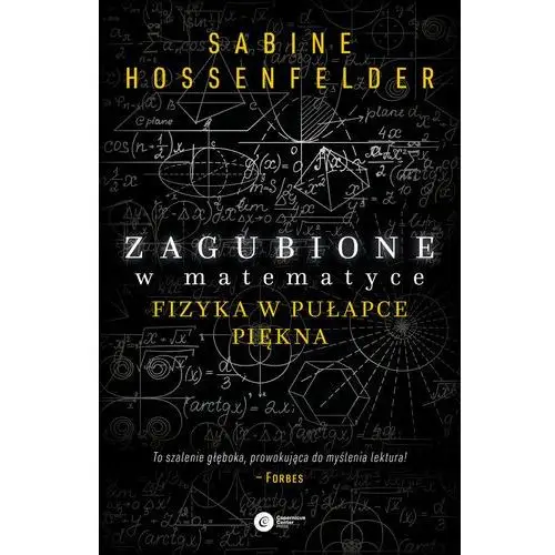 Zagubione w matematyce. Fizyka w pułapce piękna