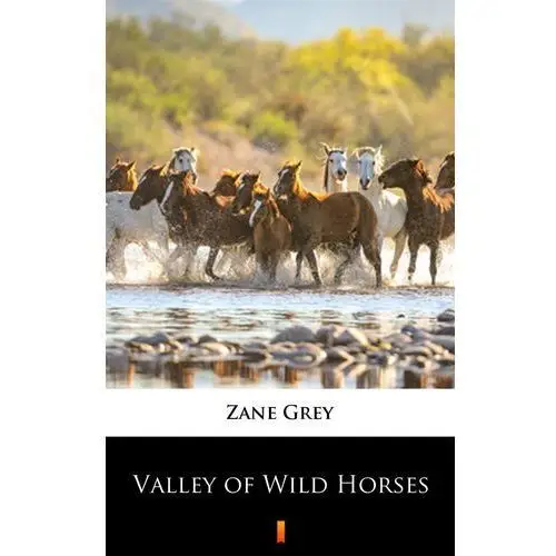 Zane grey Valley of wild horses