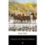 Zane grey Valley of wild horses Sklep on-line