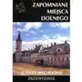 Zapomniane miejsca Dolnego Śląśka. Sudety Wschodnie. Przewodnik Sklep on-line