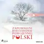 Zapomniani bohaterowie powojennej Polski Sklep on-line