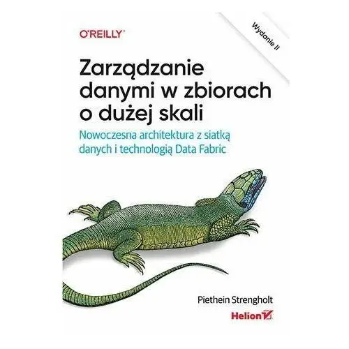 Zarządzanie danymi w zbiorach o dużej skali. Nowoczesna architektura z siatką danych i technologią Data Fabric