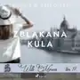 Zbłąkana kula. Willa Morena. Tom 17 Sklep on-line