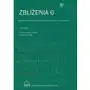 Zbliżenia 6. badania interdyscyplinarne: rzeczywistość a wyzwania Sklep on-line