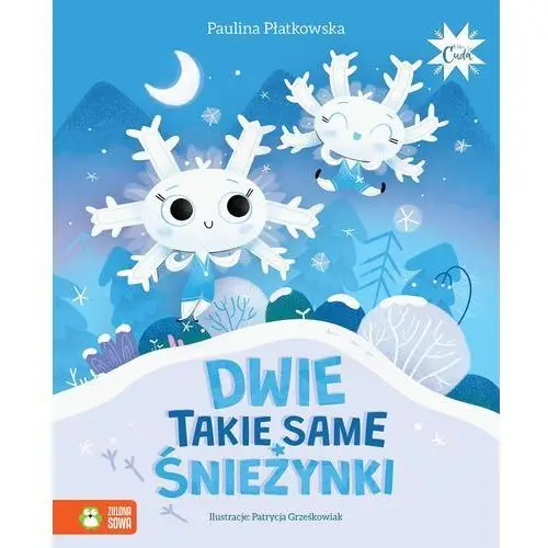 Zielona sowa Dwie takie same śnieżynki