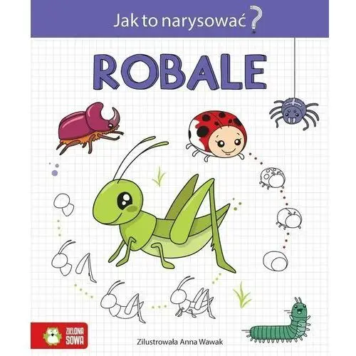 Jak to narysować? robale Zielona sowa 2