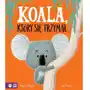 Koala, który się trzymał Sklep on-line