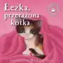 Łezka przerażona kotka Zielona sowa Sklep on-line