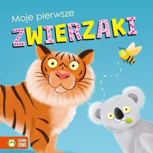 Zielona sowa Moje pierwsze zwierzaki