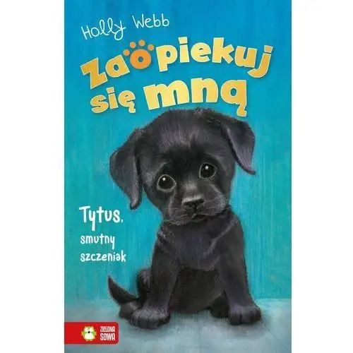 Zaopiekuj się mną. tytus, smutny szczeniak Zielona sowa