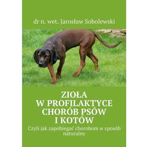 Zioła w profilaktyce chorób psów i kotów. Czyli jak zapobiegać chorobom w sposób naturalny