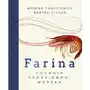 Znak koncept Farina. kuchnia śródziemnomorska Sklep on-line