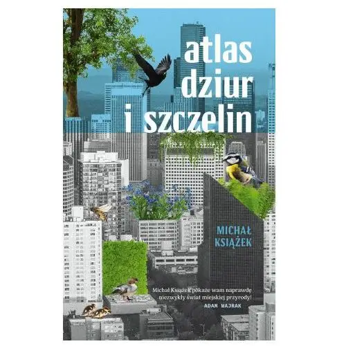 Atlas dziur i szczelin Znak literanova