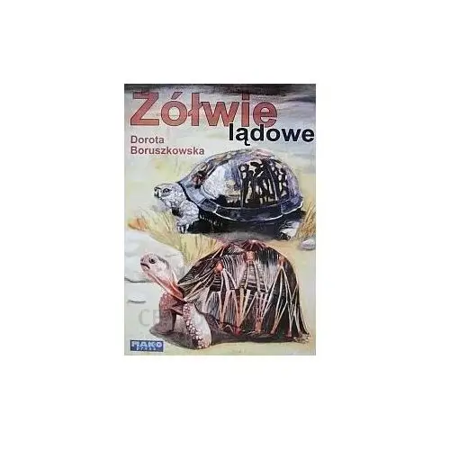 Żółwie lądowe