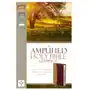 Amplified holy bible, compact, leathersoft, tan/burgundy Zondervan Sklep on-line