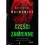 Części zamienne. seria kryminalna z komisarz olgą balicką. tom 6 Zwierciadło Sklep on-line