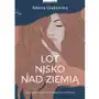 Zwierciadło Lot nisko nad ziemią - ałbena grabowska Sklep on-line