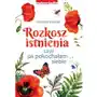 Zwierciadło Rozkosz istnienia, czyli jak pokochałam siebie Sklep on-line