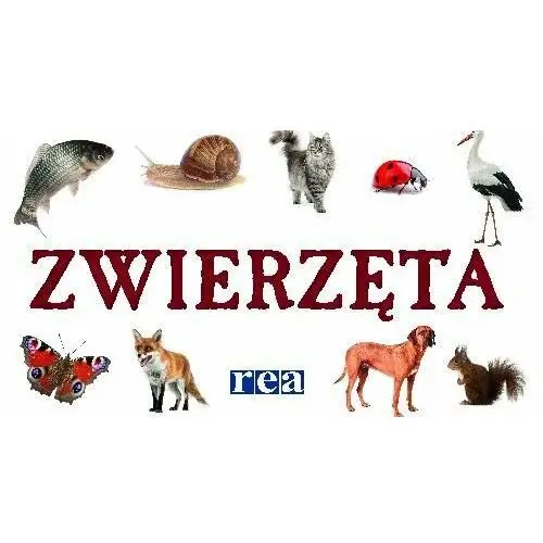 Zwierzęta