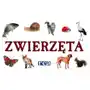 Zwierzęta Sklep on-line