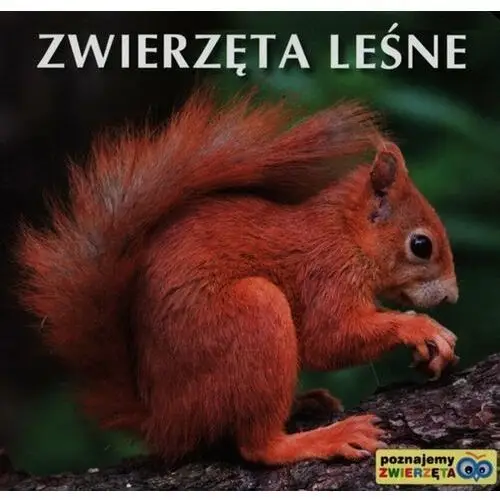 Zwierzęta leśne