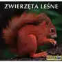 Zwierzęta leśne Sklep on-line