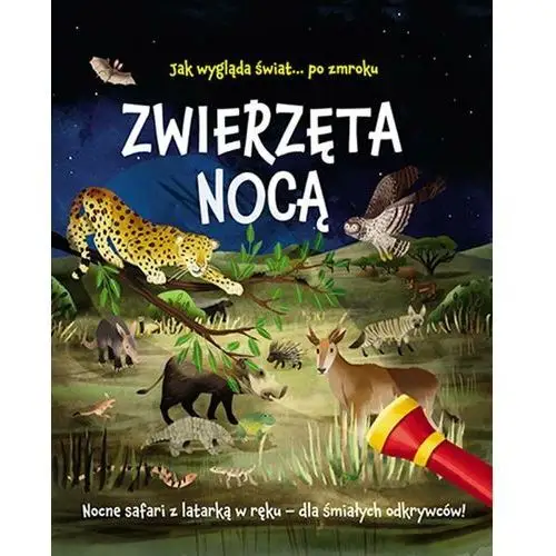 Zwierzęta nocą. Nocne safari z latarką w ręku dla śmiałych odkrywców