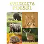 Zwierzęta Polski Sklep on-line