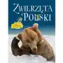 Zwierzęta Polski. Mała encyklopedia ilustrowana Sklep on-line