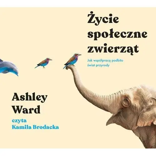 Życie społeczne zwierząt