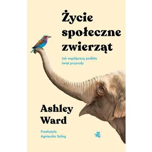 Życie społeczne zwierząt