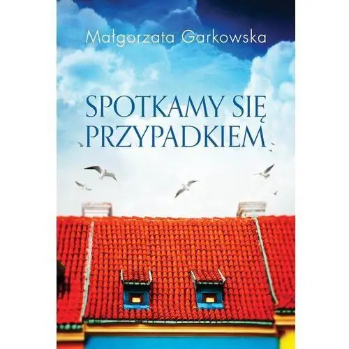 Spotkamy się przypadkiem Zysk i s-ka